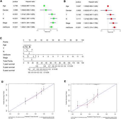Identification and validation of a hypoxia-immune signature for overall survival prediction in lung adenocarcinoma